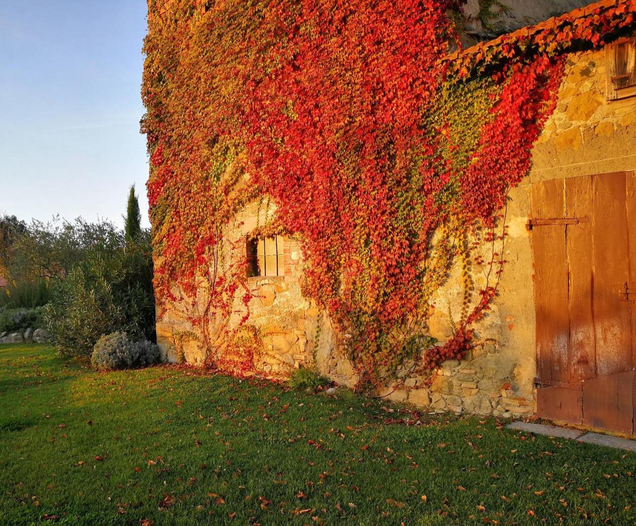 Casa Vacanze Villa Maria 앙기아리 외부 사진